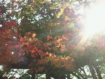 20091031 148