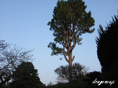 20091031 088