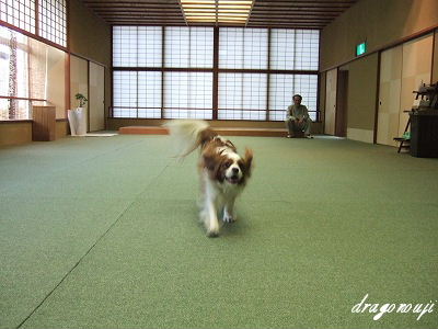 20091031 093