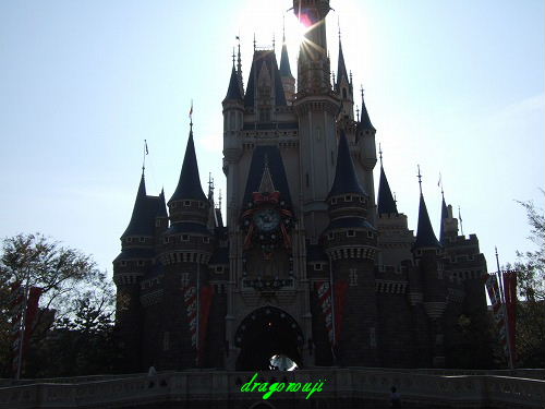 20091109 005