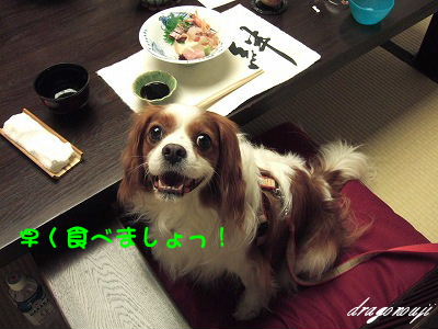 20091031 111