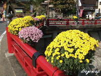 20091031 039