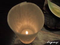 20091031 106