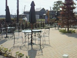 NEC_0759