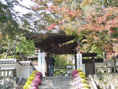 20091031 041