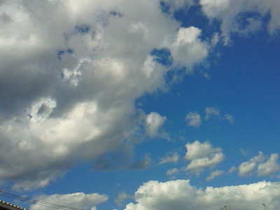NEC_0902