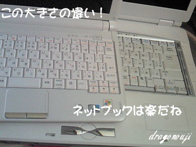 NEC_0894