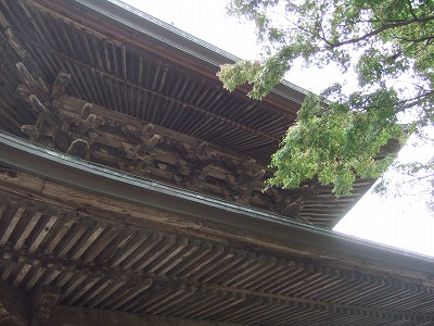 DSCF8059