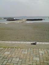 ���쳤��