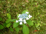 DSC00104