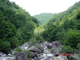 f19c1c58.JPG