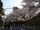 f6542a7e.JPG