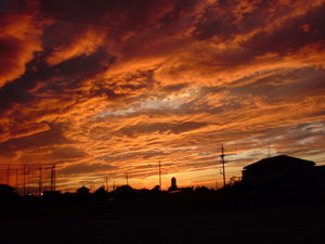 DSC00622