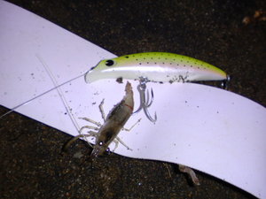 DSC00610