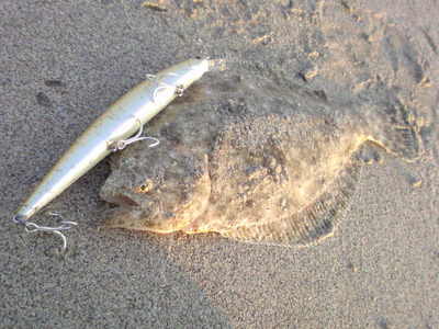DSC00745