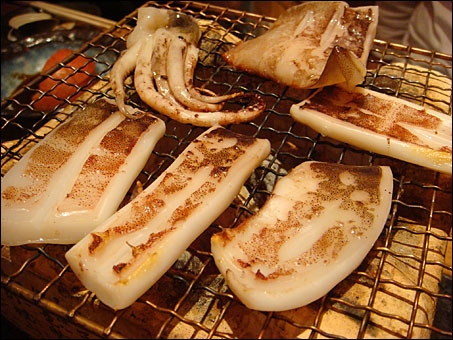 Squid