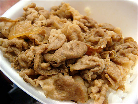 Beef Bowl Bento