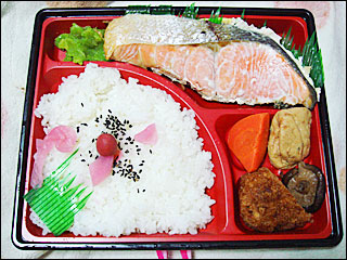 salmon