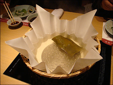 Paper Pot