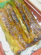 20050728234807.jpg
