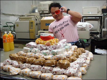 Hamburger Project 2008