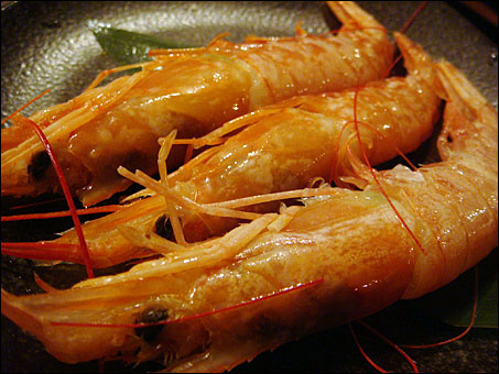 Shrimps