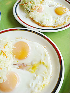 egg2