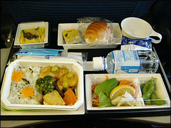 Airplane Meal
