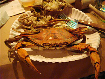 Crab