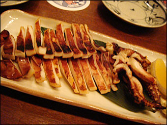 Squid