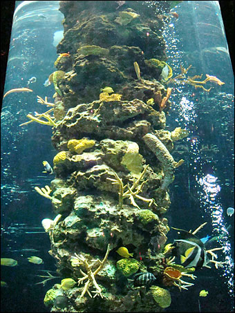 Aquarium