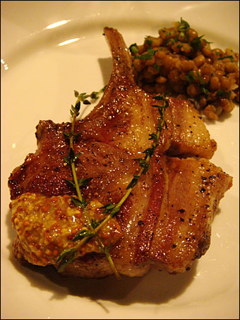 Lamb
