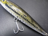 �����ԥ�ߥΡ����졼�٥롡jumpin' minnow rebel