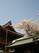 3329a3e5.jpg