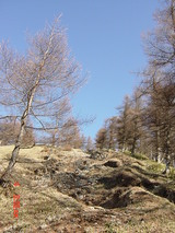 ���Ĳ��� 105