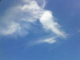 68f06484.jpg