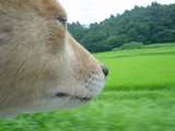 30922d31.JPG
