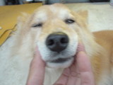 7707822e.JPG