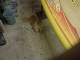e70ae6b6.JPG