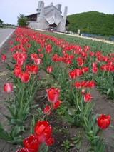 095755d6.JPG