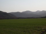 IMGP7249_2