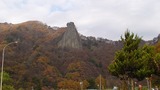 ���δ䤬�������顢�⤦������ͱء�ι�⽪��