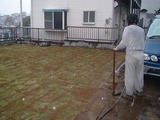 腰とひざが痛いが雨により水遣りは不要となった