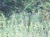 DMZ�ˤ�ͭ��Ŵ�����Ϥ�ᤰ����Ƥ��롣����ˡ��Ω������ʤ�