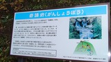 �䤷�礦˷���顢��̣����̾�夬ͯ���Ф�