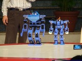 �ǥ�󥹥ȥ졼�����ͥ��ϥ����ʥޥ�����2�ȥᥬ�����ʥ�
