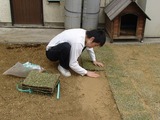 いよいよ芝張り職人タクミの出番だ