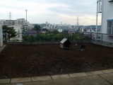 �Ų����������������ߤ������󤯤˥��ɥޡ�����������