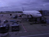 スターアライアンスのスカンジアナビアのちょっと古いA330