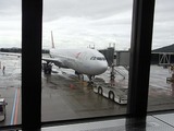 6���֤�ι�⽪���˶�Ť������ASIANA
